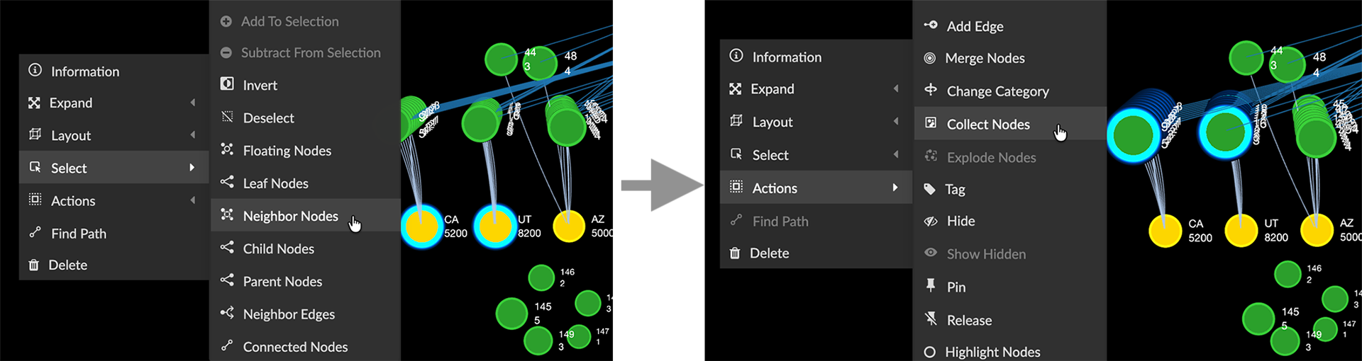 04 03 08 CollPhotosSelTwo